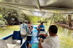 Visitors enjoy a guided boat tour through the peaceful mangrove canals of Isla Damas.