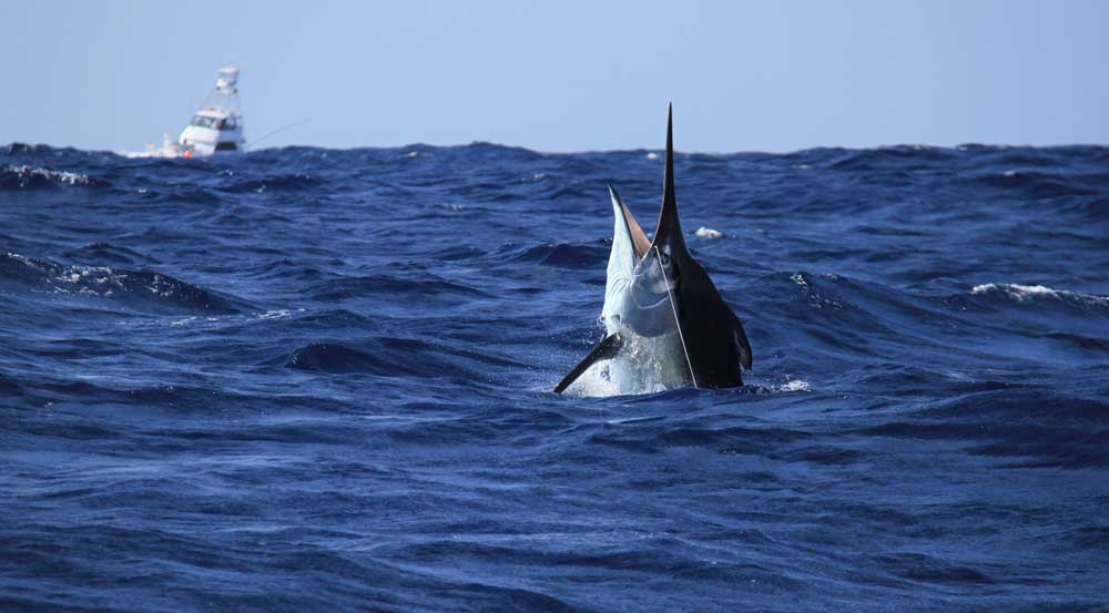 Sportfishing