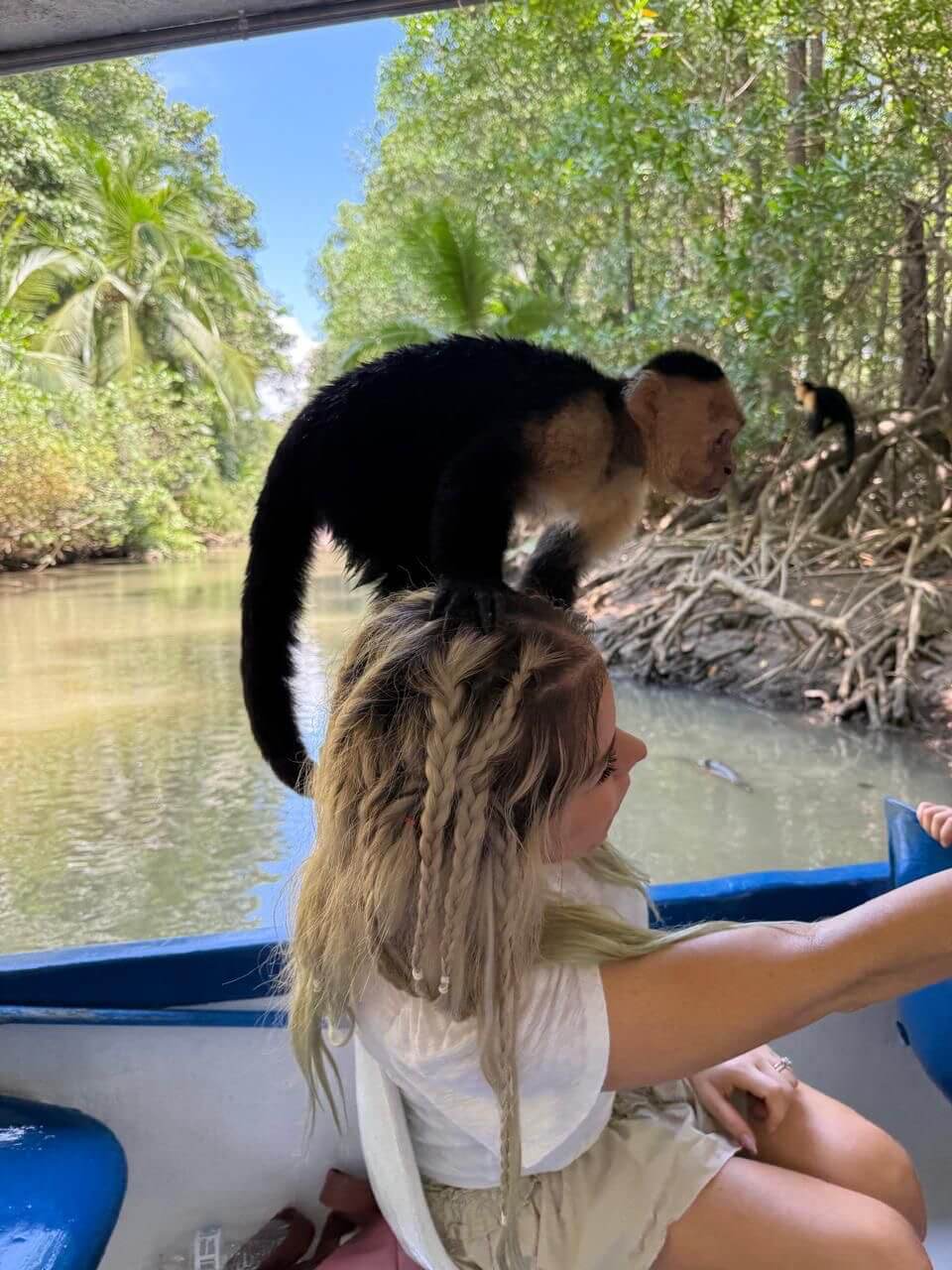 White-faced capuchin monkey sitting on a visitor’s head during Isla Damas boat tour in Quepos Costa Rica