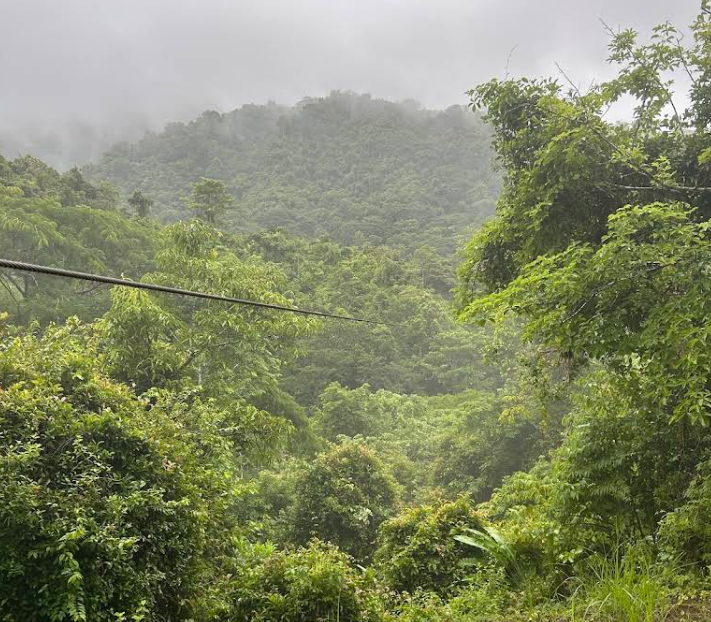 Jaco canopy tours mountain