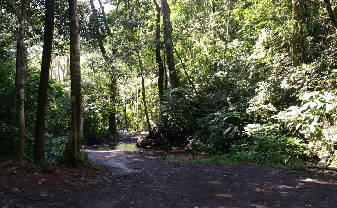 Jaco canopy trails