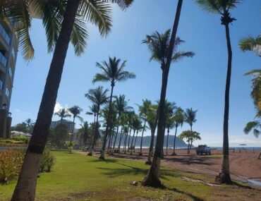 Palm trees along Jaco Beach, Costa Rica, near Diamante del Sol