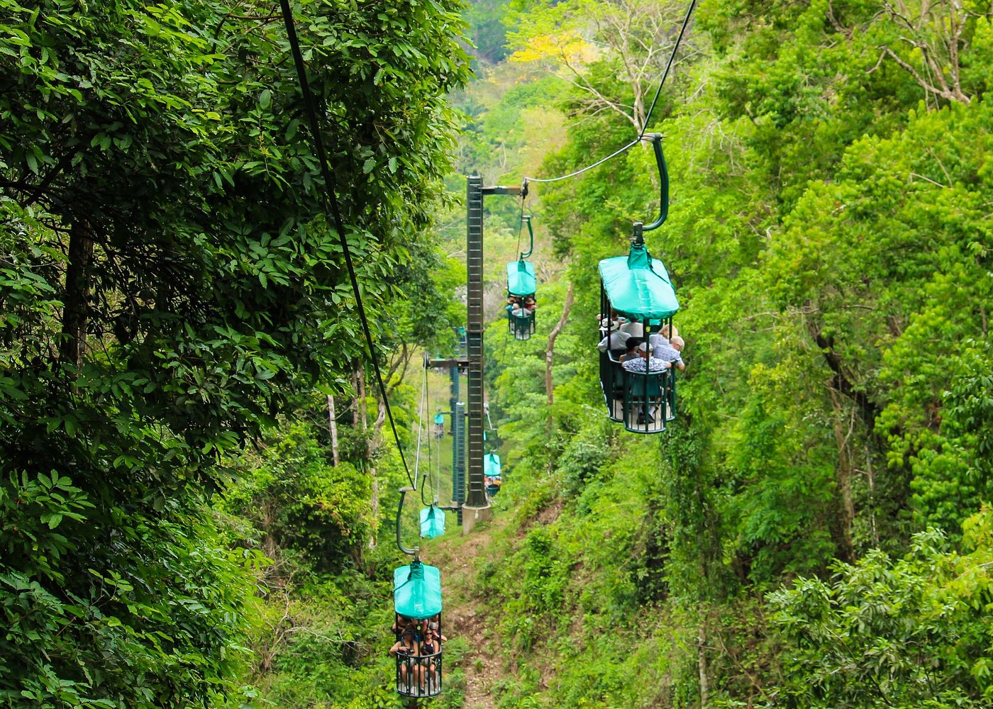 Rainforest Aerial Tram Tour image 1