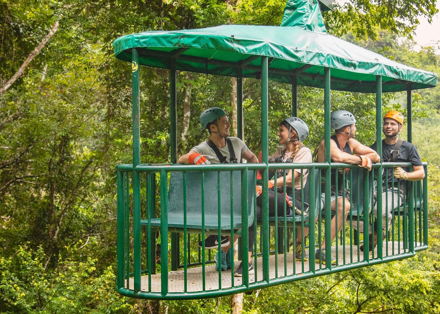Rainforest Aerial Tram Tour image 7