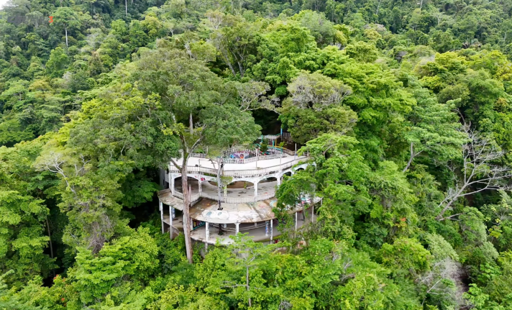 Mirador Miro
